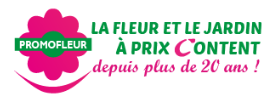 AliExpress