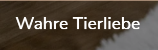 AliExpress