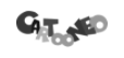 eBay Coupon