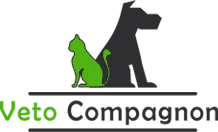 eBay Coupon