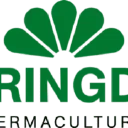 Springday Permaculture